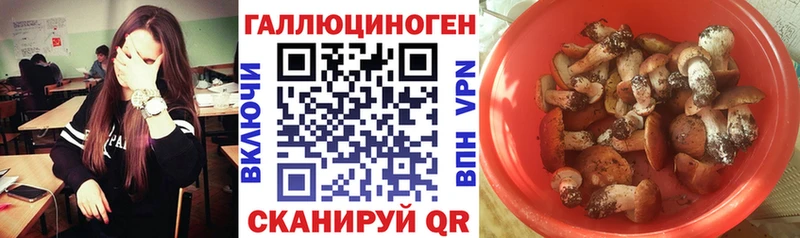 Галлюциногенные грибы Magic Shrooms  кракен зеркало  Новоаннинский 